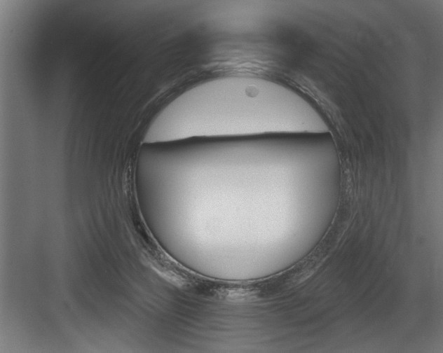 X0000083650165200702120845