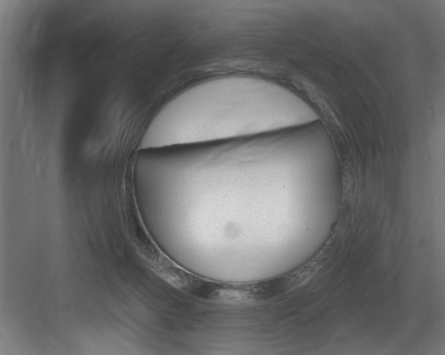 X0000083650167200702120845