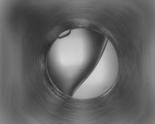 X0000083650170200702120845