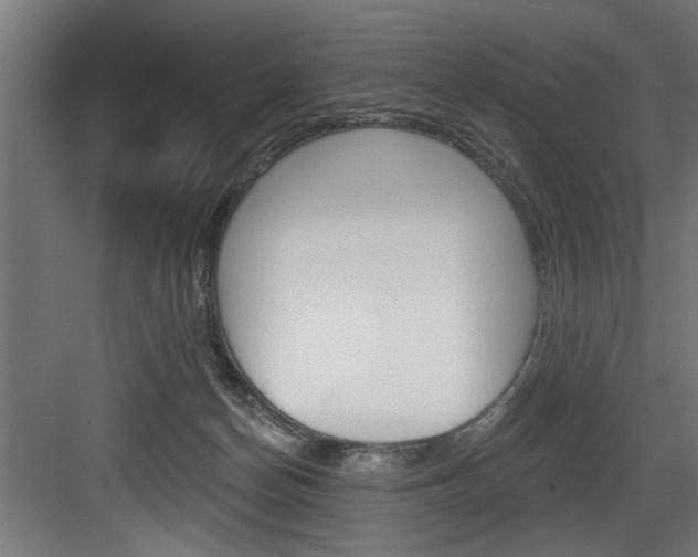 X0000083650174200702120845