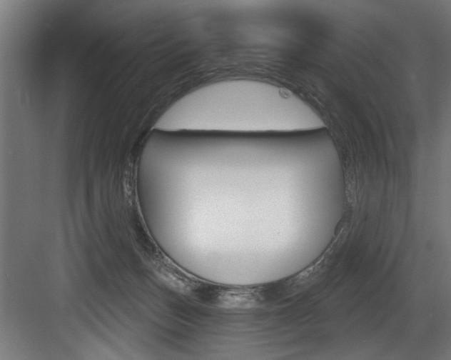 X0000083650175200702120845