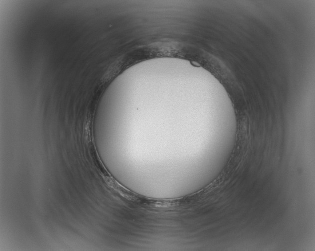X0000083650177200702120845