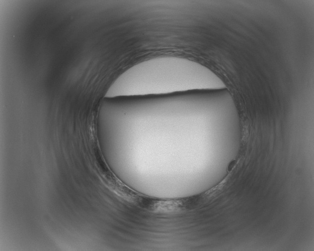 X0000083650179200702120846