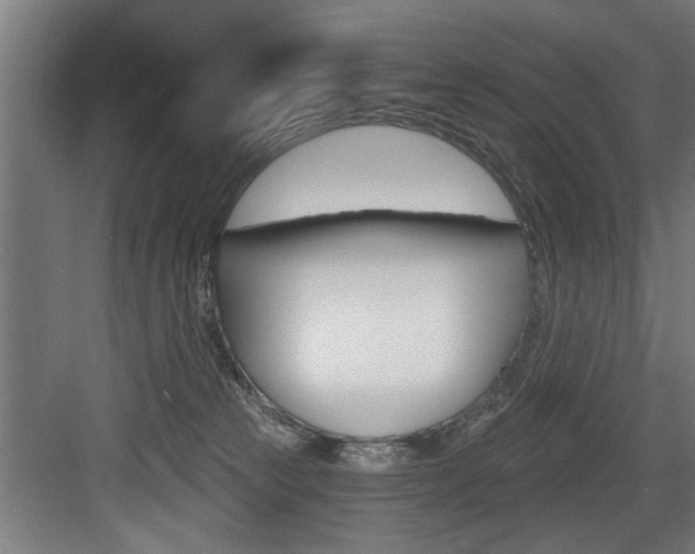 X0000083650181200702120846