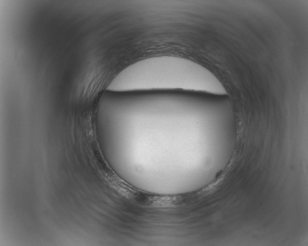 X0000083650182200702120846