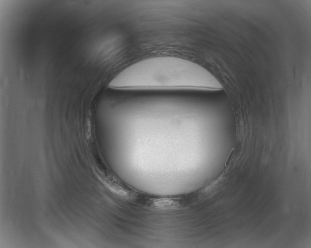 X0000083650183200702120846