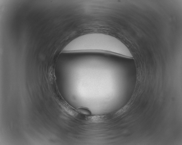 X0000083650184200702120846