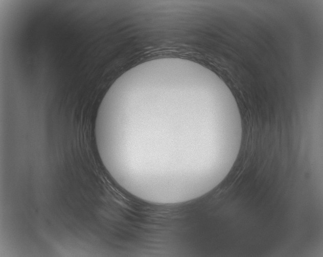 X0000083650185200702120846
