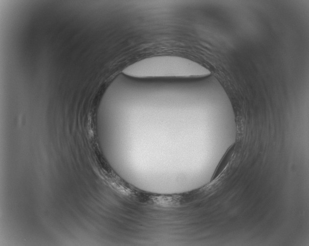 X0000083650187200702120846