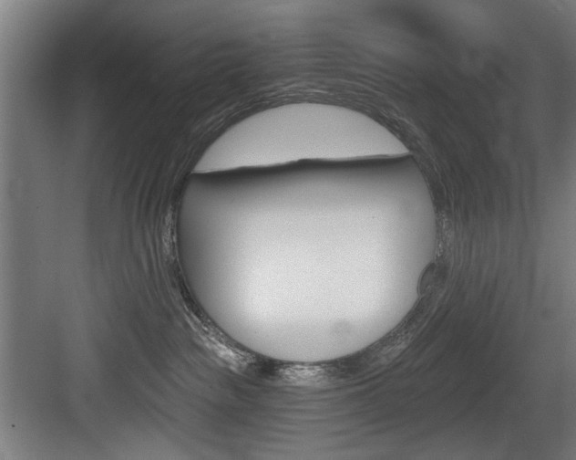 X0000083650189200702120846