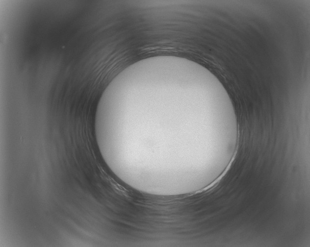 X0000083650190200702120846