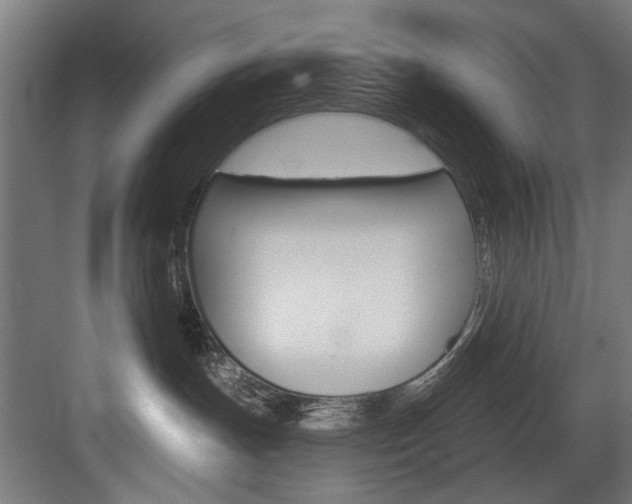 X0000083650191200702120846