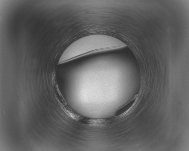 X0000083650192200702120846