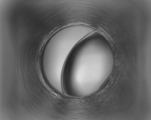 X0000083650193200702120845