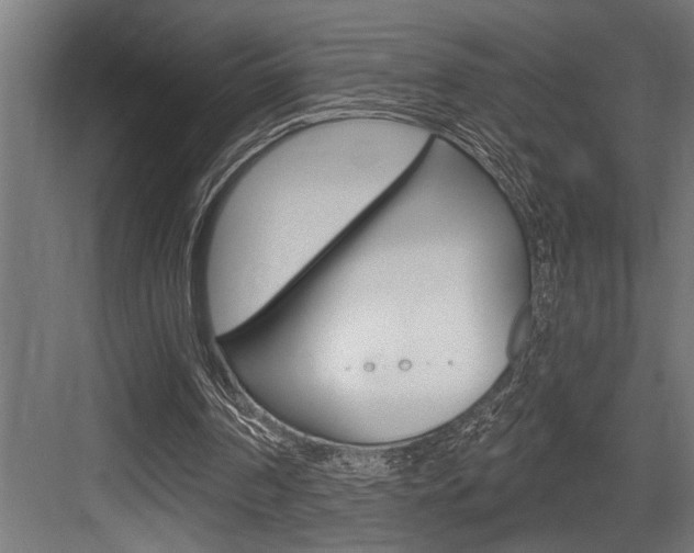 X0000083650194200702120845