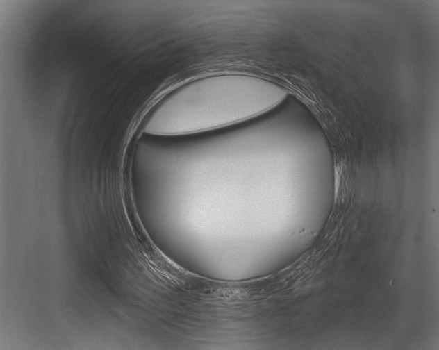 X0000083650195200702120845