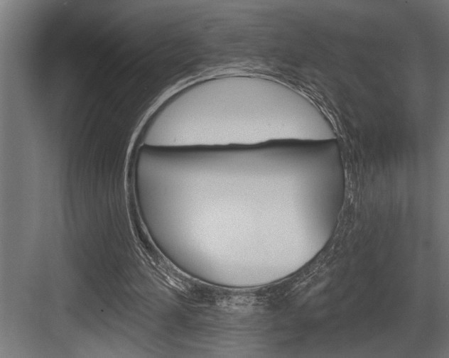 X0000083650196200702120845