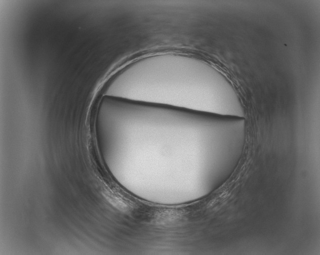 X0000083650198200702120845