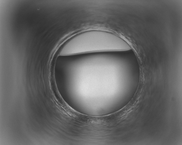 X0000083650199200702120845