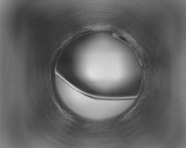 X0000083650201200702120845
