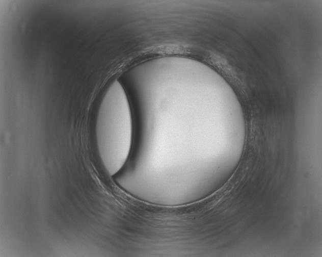 X0000083650202200702120845