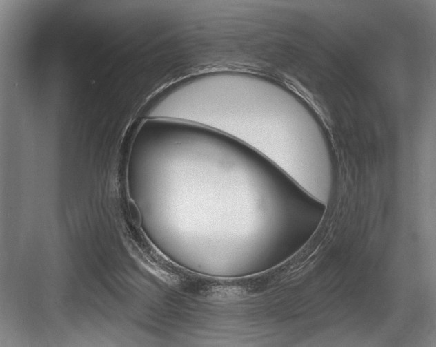X0000083650203200702120845