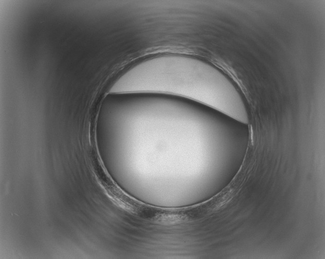 X0000083650205200702120845