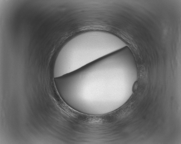 X0000083650206200702120845