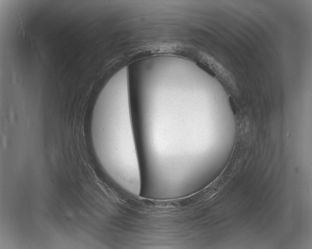 X0000083650209200702120845