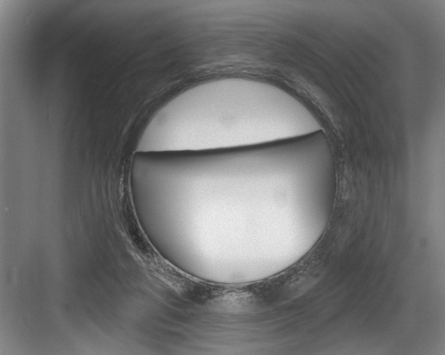 X0000083650210200702120845