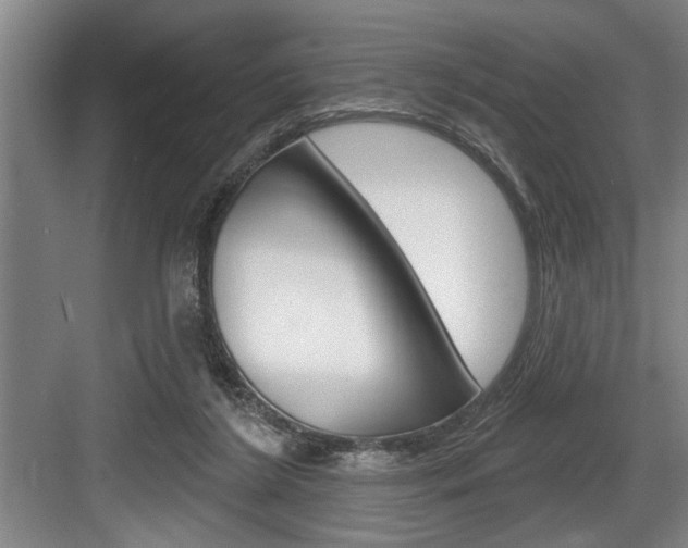 X0000083650212200702120845
