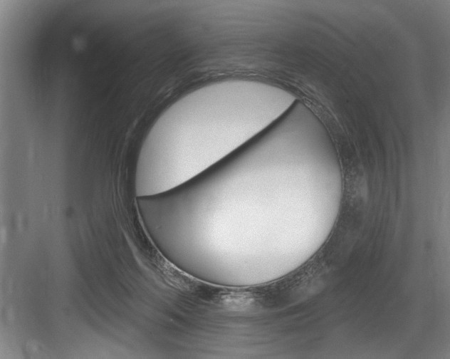X0000083650214200702120845