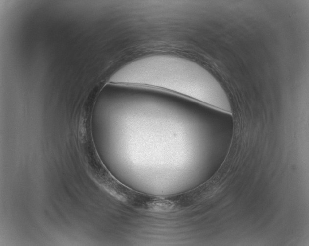 X0000083650215200702120845