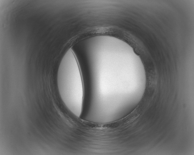 X0000083650216200702120845