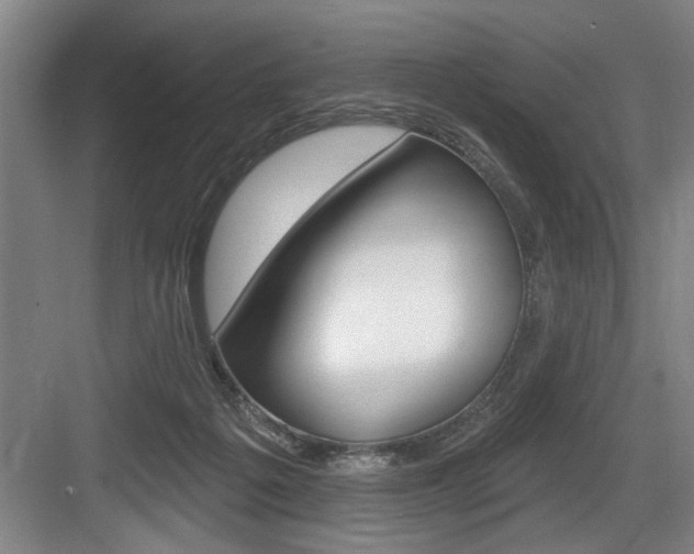 X0000083650217200702120845
