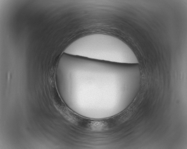 X0000083650218200702120845