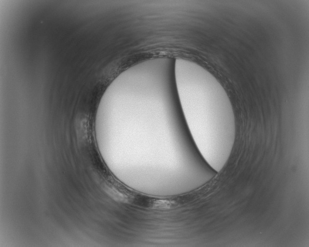 X0000083650222200702120844