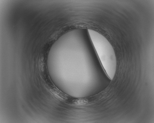 X0000083650223200702120844