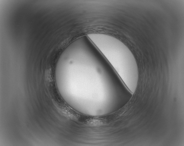 X0000083650224200702120844