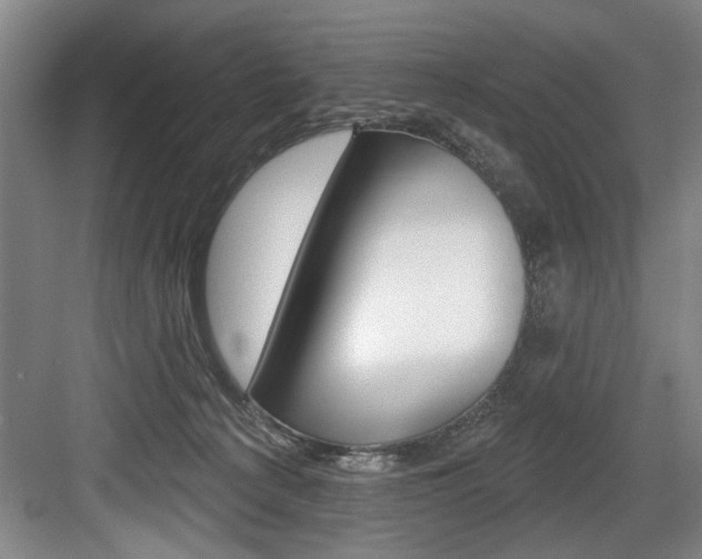 X0000083650225200702120844