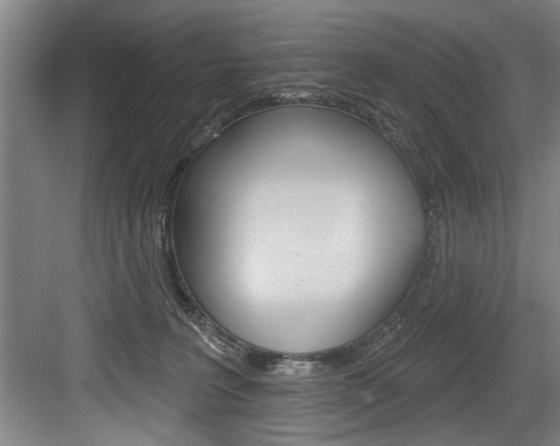 X0000083650227200702120844
