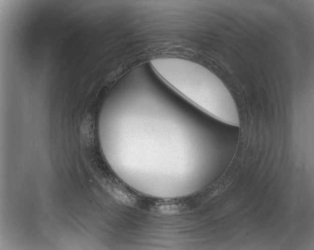 X0000083650228200702120844
