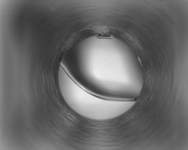X0000083650229200702120844