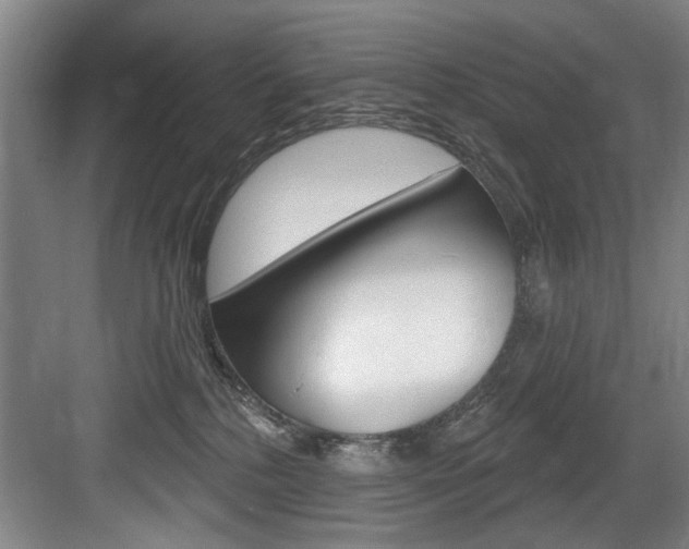 X0000083650232200702120844