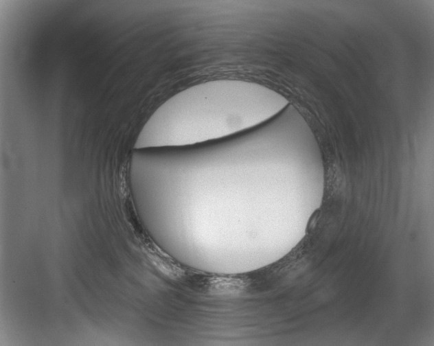 X0000083650234200702120844