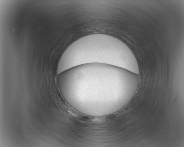 X0000083650236200702120844