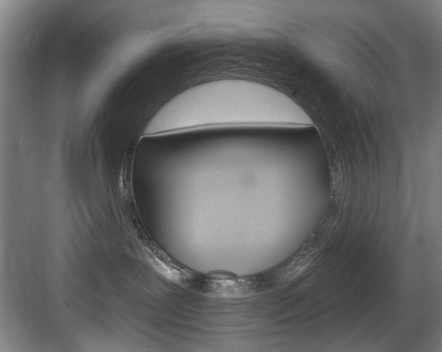 X0000083650239200702120844
