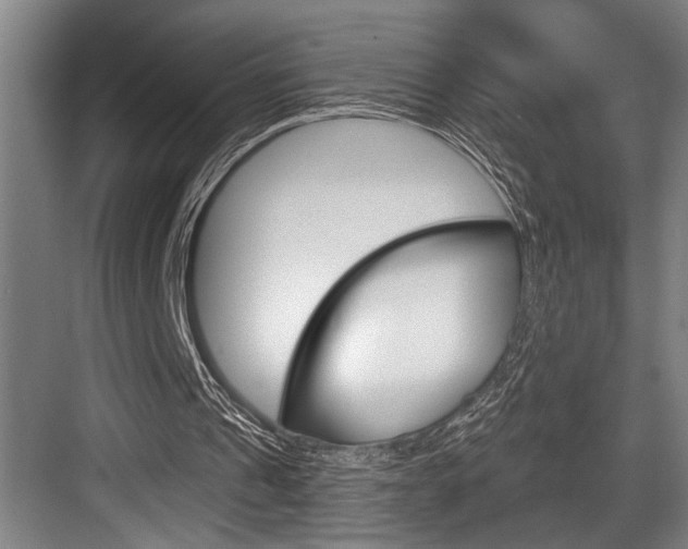 X0000083650241200702120843