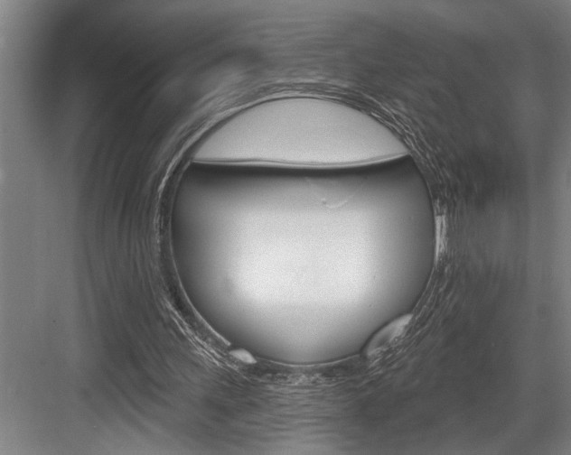 X0000083650243200702120843