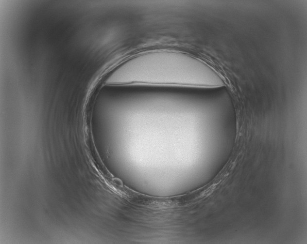 X0000083650245200702120843